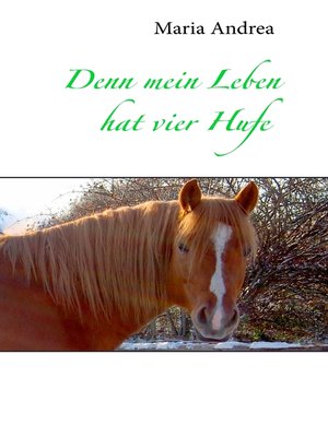 cover image of Denn mein Leben hat vier Hufe